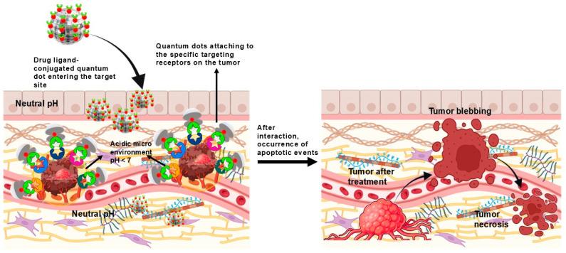https://cdn.ncbi.nlm.nih.gov/pmc/blobs/e68c/11898779/180d6b224c47/cancers-17-00878-g004.jpg