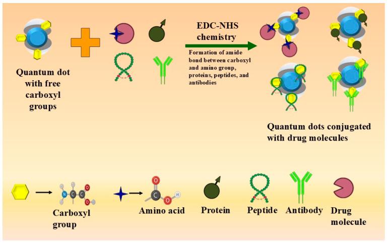 https://cdn.ncbi.nlm.nih.gov/pmc/blobs/e68c/11898779/28721d90dd92/cancers-17-00878-g002.jpg