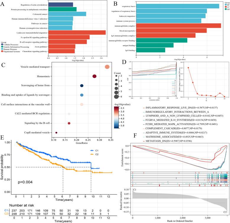 https://cdn.ncbi.nlm.nih.gov/pmc/blobs/e68c/11951520/b0a451d88e7a/12885_2025_13923_Fig5_HTML.jpg