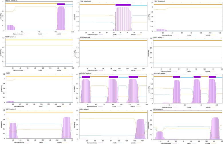 https://cdn.ncbi.nlm.nih.gov/pmc/blobs/e68c/11951520/cab471654df4/12885_2025_13923_Fig12_HTML.jpg