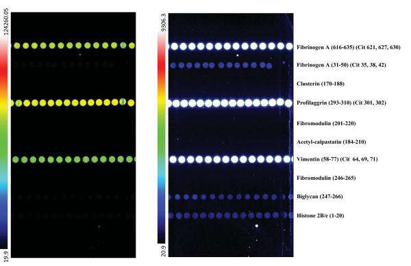 https://cdn.ncbi.nlm.nih.gov/pmc/blobs/e691/3218917/80d85b41fda4/ar3383-1.jpg