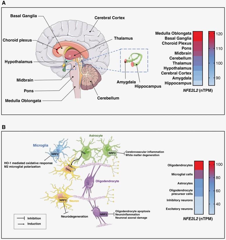 https://cdn.ncbi.nlm.nih.gov/pmc/blobs/e692/10785770/843ef443b715/vdad160_fig1.jpg