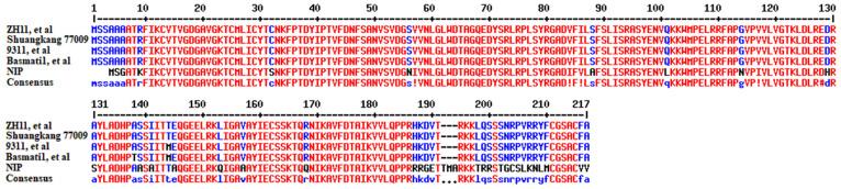 https://cdn.ncbi.nlm.nih.gov/pmc/blobs/e692/11769553/36953ecf02c1/plants-14-00217-g002.jpg