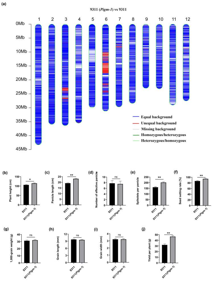 https://cdn.ncbi.nlm.nih.gov/pmc/blobs/e692/11769553/eef7721370df/plants-14-00217-g005.jpg