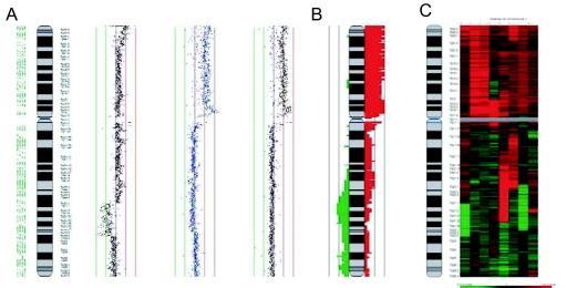 https://cdn.ncbi.nlm.nih.gov/pmc/blobs/e693/2675507/dbb6b29bf93a/CIN-02-48-g006.jpg