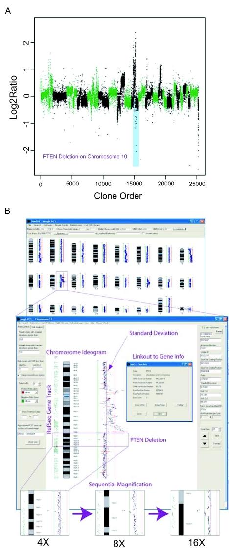 https://cdn.ncbi.nlm.nih.gov/pmc/blobs/e693/2675507/e13ffcc8bca6/CIN-02-48-g004.jpg