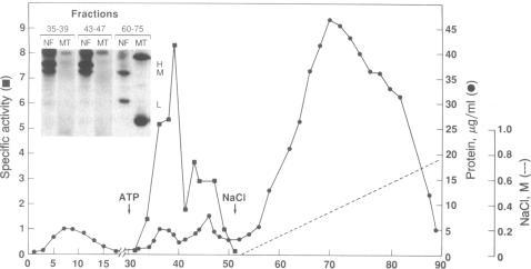 https://cdn.ncbi.nlm.nih.gov/pmc/blobs/e694/286546/23ceaa97c807/pnas00242-0324-a.jpg