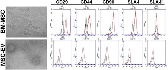 https://cdn.ncbi.nlm.nih.gov/pmc/blobs/e694/5789598/71fd249ff7ba/13287_2018_774_Fig1_HTML.jpg
