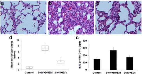 https://cdn.ncbi.nlm.nih.gov/pmc/blobs/e694/5789598/a03d30f77768/13287_2018_774_Fig7_HTML.jpg