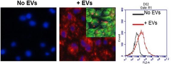 https://cdn.ncbi.nlm.nih.gov/pmc/blobs/e694/5789598/b4689aacb7fa/13287_2018_774_Fig3_HTML.jpg