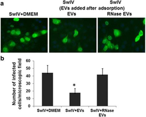 https://cdn.ncbi.nlm.nih.gov/pmc/blobs/e694/5789598/d8d56f44ea15/13287_2018_774_Fig6_HTML.jpg