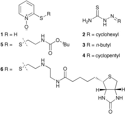 https://cdn.ncbi.nlm.nih.gov/pmc/blobs/e695/2898628/3fd9f422ba6b/b613673g-f1.jpg
