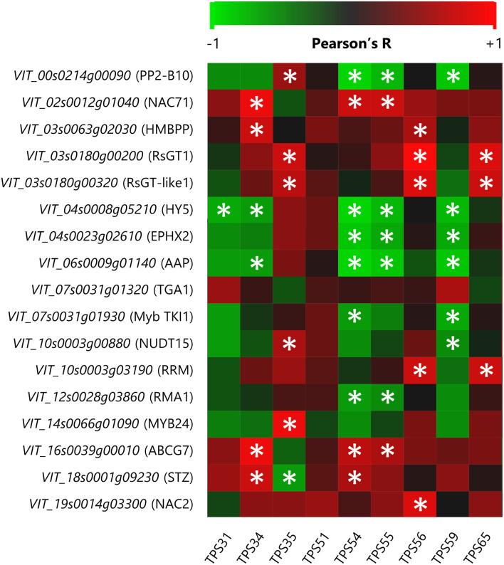 https://cdn.ncbi.nlm.nih.gov/pmc/blobs/e695/9986437/6a20416cd277/fpls-14-1117572-g005.jpg