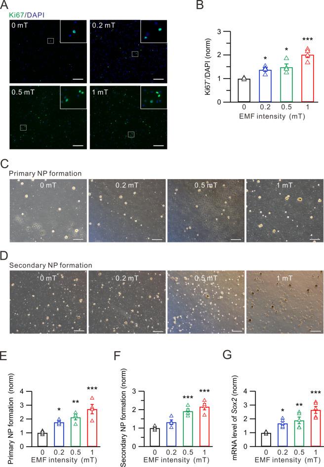 https://cdn.ncbi.nlm.nih.gov/pmc/blobs/e697/12339996/1652865a7d15/41598_2025_14738_Fig2_HTML.jpg