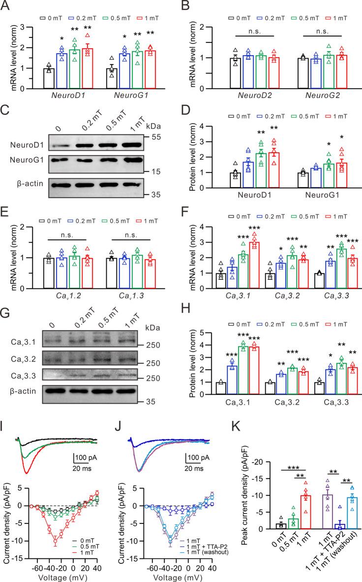 https://cdn.ncbi.nlm.nih.gov/pmc/blobs/e697/12339996/1a3fc133e05d/41598_2025_14738_Fig4_HTML.jpg