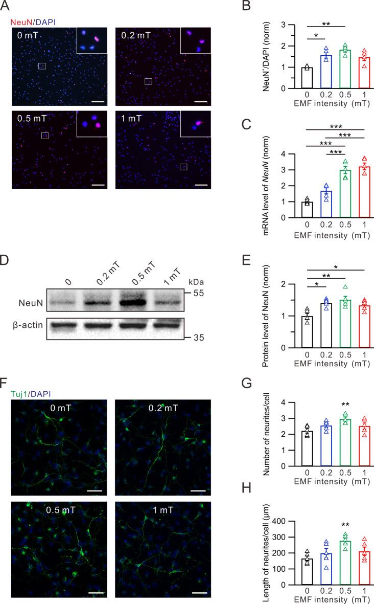 https://cdn.ncbi.nlm.nih.gov/pmc/blobs/e697/12339996/f46389b571df/41598_2025_14738_Fig3_HTML.jpg
