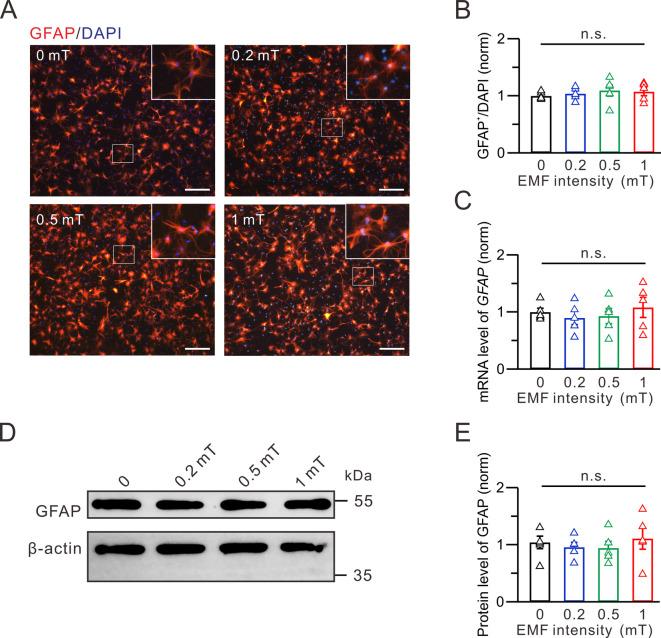 https://cdn.ncbi.nlm.nih.gov/pmc/blobs/e697/12339996/ff28208a2f2e/41598_2025_14738_Fig5_HTML.jpg