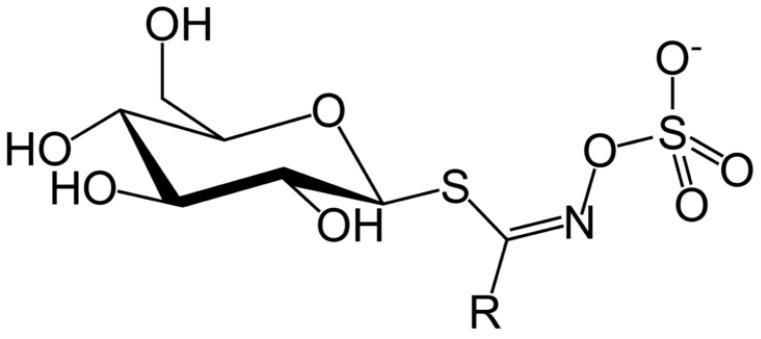 https://cdn.ncbi.nlm.nih.gov/pmc/blobs/e697/9920110/e0fab496dbef/plants-12-00570-g002.jpg