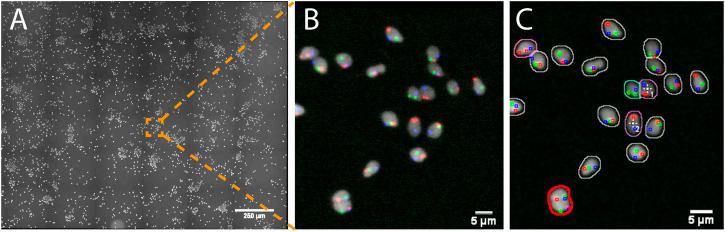 https://cdn.ncbi.nlm.nih.gov/pmc/blobs/e69a/9581036/9b575dce0b28/fbinf-01-627626-g003.jpg
