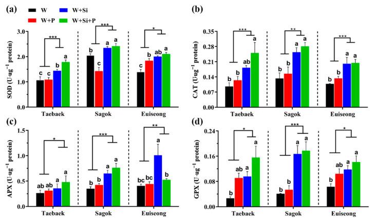 https://cdn.ncbi.nlm.nih.gov/pmc/blobs/e69b/9655603/9fad1e8efcff/ijms-23-13211-g003.jpg