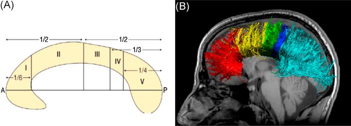 https://cdn.ncbi.nlm.nih.gov/pmc/blobs/e69c/4863525/3ed509cff39f/gr1.jpg