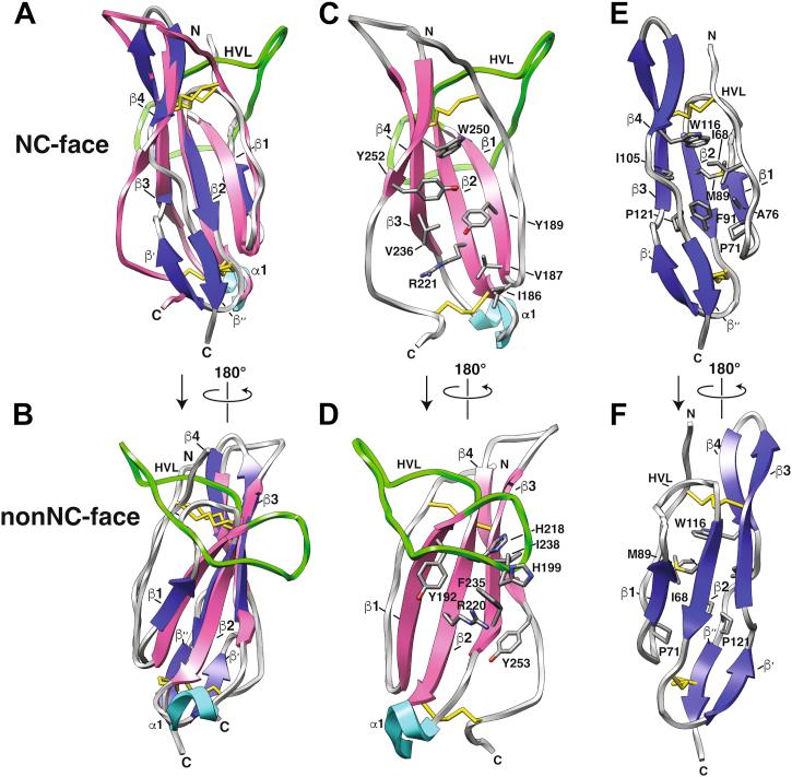 https://cdn.ncbi.nlm.nih.gov/pmc/blobs/e69d/9163516/8c60e30853d6/gr6.jpg