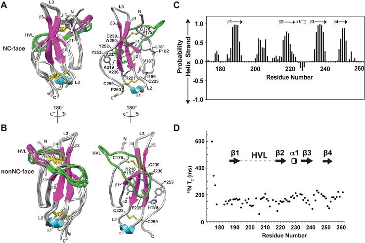 https://cdn.ncbi.nlm.nih.gov/pmc/blobs/e69d/9163516/e775f08ae20d/gr5.jpg