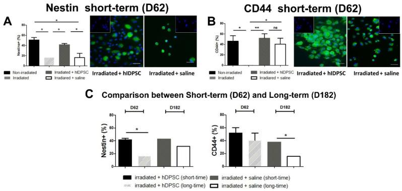 https://cdn.ncbi.nlm.nih.gov/pmc/blobs/e69e/9315564/7af0127891f5/cells-11-02252-g005.jpg