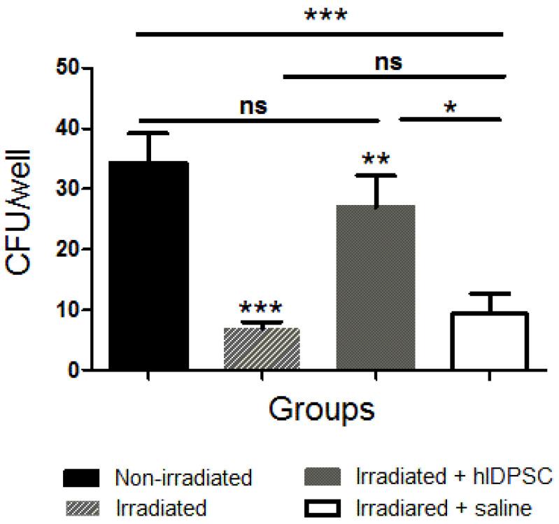 https://cdn.ncbi.nlm.nih.gov/pmc/blobs/e69e/9315564/83a4953ecc69/cells-11-02252-g006.jpg