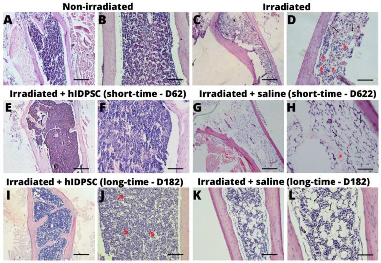https://cdn.ncbi.nlm.nih.gov/pmc/blobs/e69e/9315564/b5d765ae859d/cells-11-02252-g003.jpg