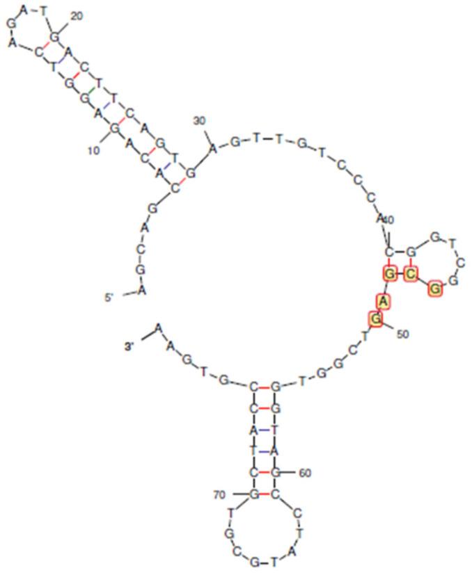 https://cdn.ncbi.nlm.nih.gov/pmc/blobs/e69f/10296281/779cc859539b/biosensors-13-00660-g001.jpg