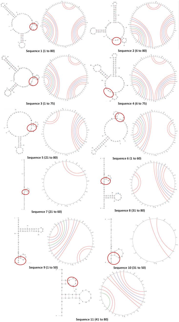 https://cdn.ncbi.nlm.nih.gov/pmc/blobs/e69f/10296281/abccd896a748/biosensors-13-00660-g002.jpg