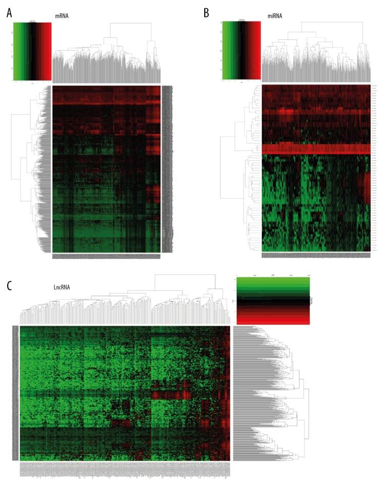 https://cdn.ncbi.nlm.nih.gov/pmc/blobs/e69f/6487673/256455022843/medscimonit-25-2896-g002.jpg