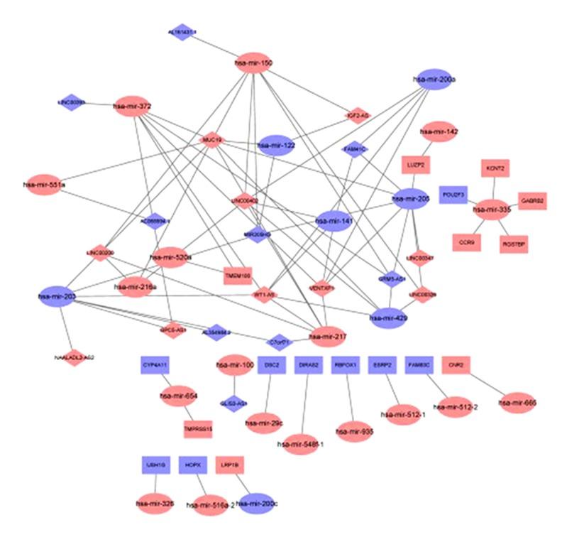 https://cdn.ncbi.nlm.nih.gov/pmc/blobs/e69f/6487673/b97275c77e8b/medscimonit-25-2896-g005.jpg