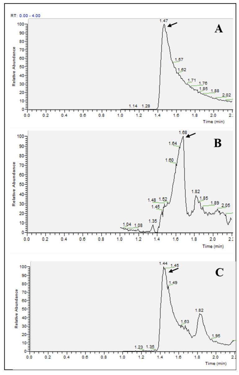 https://cdn.ncbi.nlm.nih.gov/pmc/blobs/e69f/7280988/1c6faecf2f11/metabolites-10-00175-g007.jpg