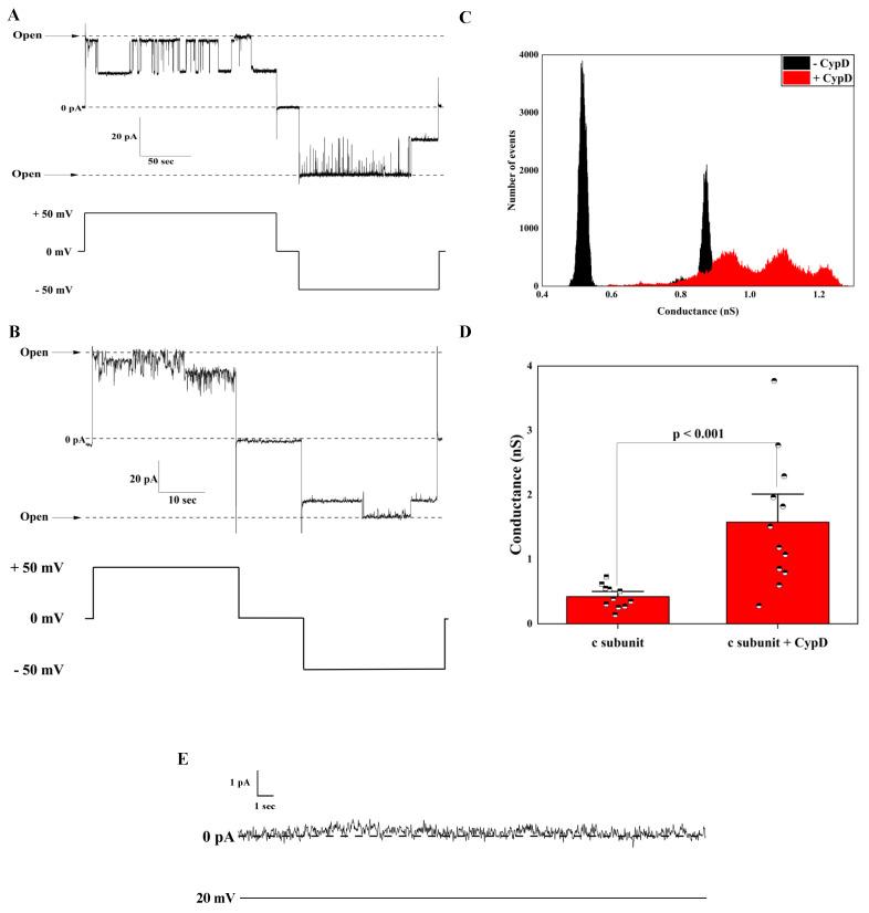 https://cdn.ncbi.nlm.nih.gov/pmc/blobs/e69f/8538490/319e076a5c9d/ijms-22-11022-g001.jpg