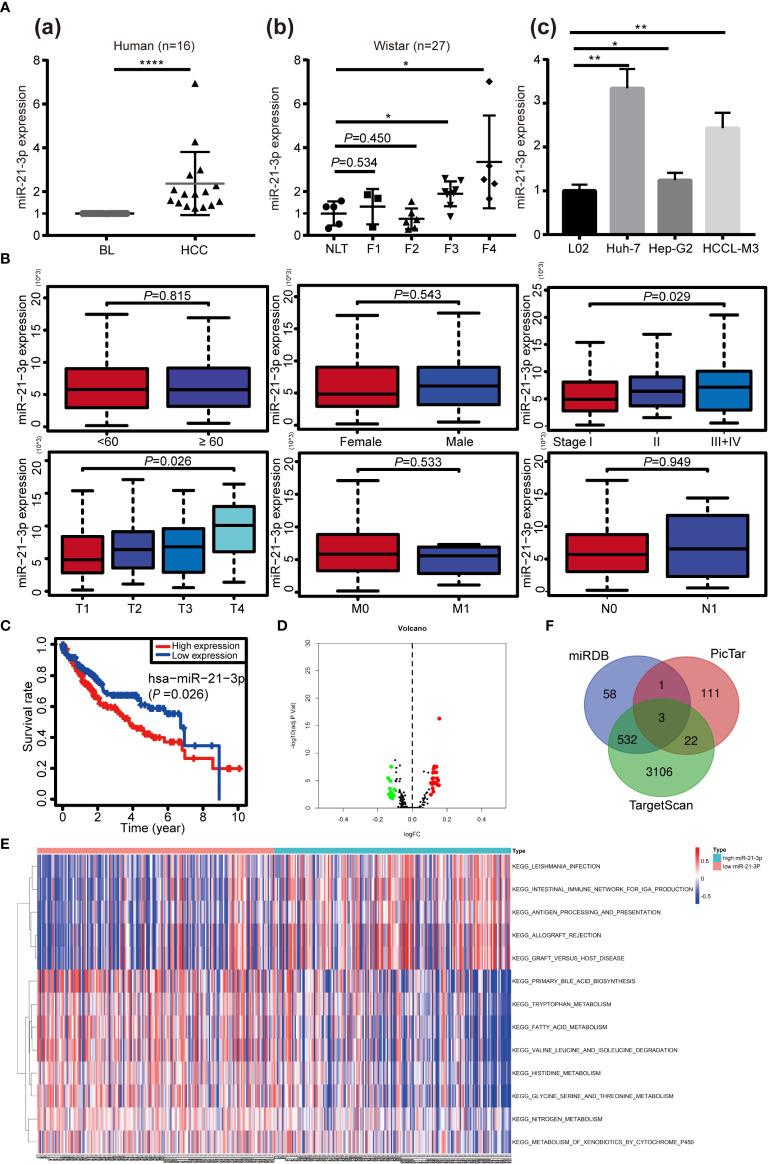 https://cdn.ncbi.nlm.nih.gov/pmc/blobs/e6a1/7982593/a6b3e8950508/fonc-11-642030-g001.jpg