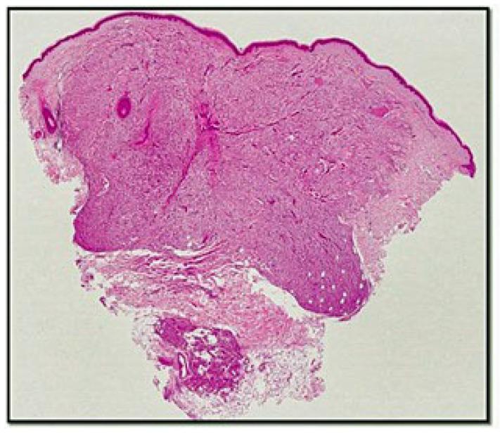 https://cdn.ncbi.nlm.nih.gov/pmc/blobs/e6a2/9317609/0c327daca97c/genes-13-01153-g001.jpg
