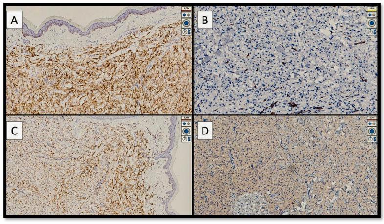 https://cdn.ncbi.nlm.nih.gov/pmc/blobs/e6a2/9317609/e69873481c1f/genes-13-01153-g003.jpg