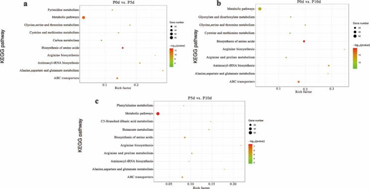 https://cdn.ncbi.nlm.nih.gov/pmc/blobs/e6a3/10084692/a90eed452874/12870_2023_4209_Fig5_HTML.jpg
