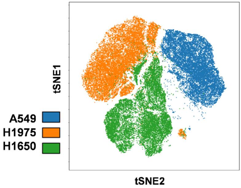 https://cdn.ncbi.nlm.nih.gov/pmc/blobs/e6a3/8750076/69bd465c7246/cancers-14-00144-g003.jpg