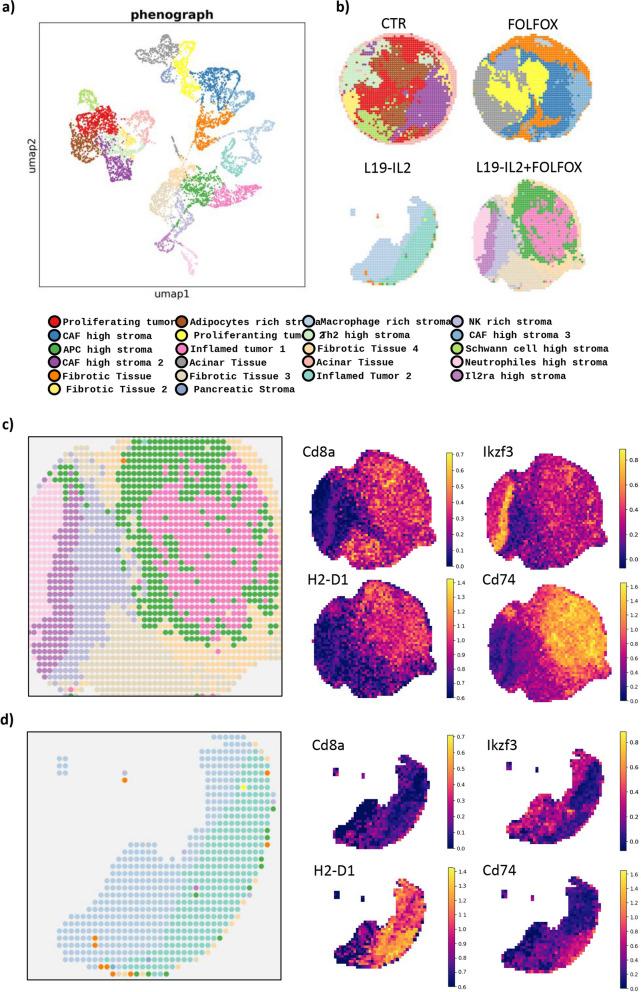 https://cdn.ncbi.nlm.nih.gov/pmc/blobs/e6a7/11705946/0cebe8342b83/13046_2024_3238_Fig6_HTML.jpg