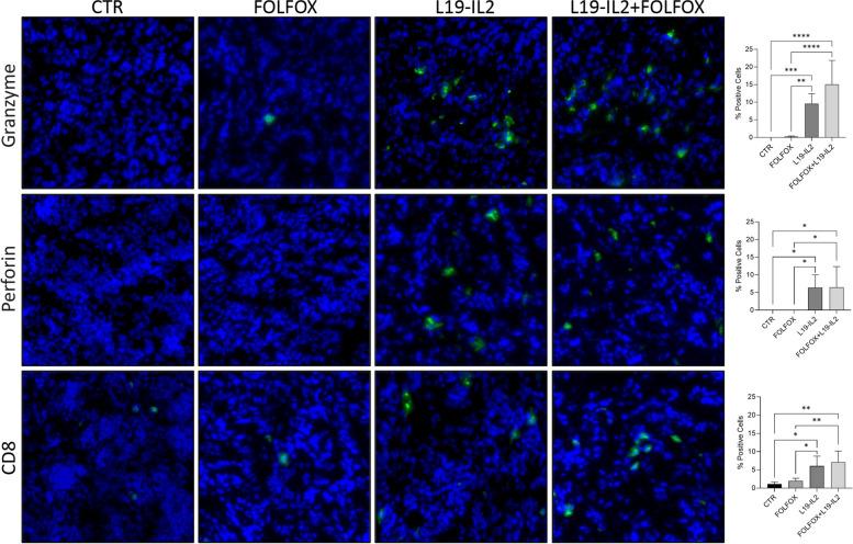 https://cdn.ncbi.nlm.nih.gov/pmc/blobs/e6a7/11705946/11df486bfebb/13046_2024_3238_Fig7_HTML.jpg