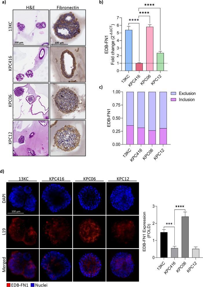 https://cdn.ncbi.nlm.nih.gov/pmc/blobs/e6a7/11705946/51f8d449c90f/13046_2024_3238_Fig1_HTML.jpg