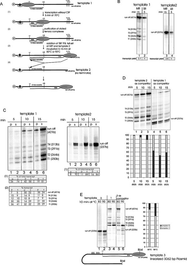 https://cdn.ncbi.nlm.nih.gov/pmc/blobs/e6a7/2253867/5397954d2c43/mmi0067-0958-f4.jpg