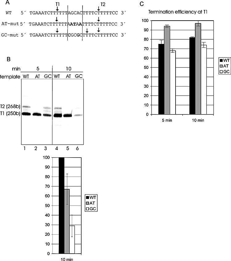 https://cdn.ncbi.nlm.nih.gov/pmc/blobs/e6a7/2253867/ac9f397f6db5/mmi0067-0958-f6.jpg