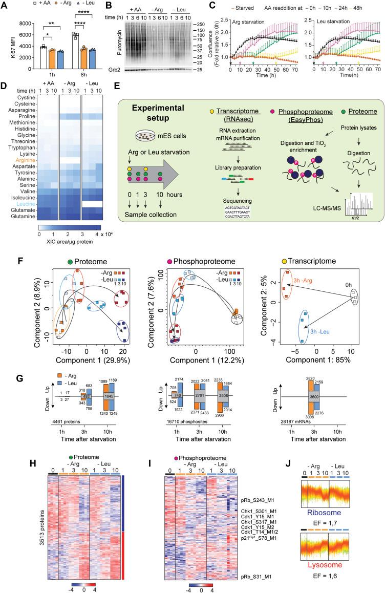 https://cdn.ncbi.nlm.nih.gov/pmc/blobs/e6a8/12413550/2c279f3bb63b/LSA-2025-03324_Fig1.jpg