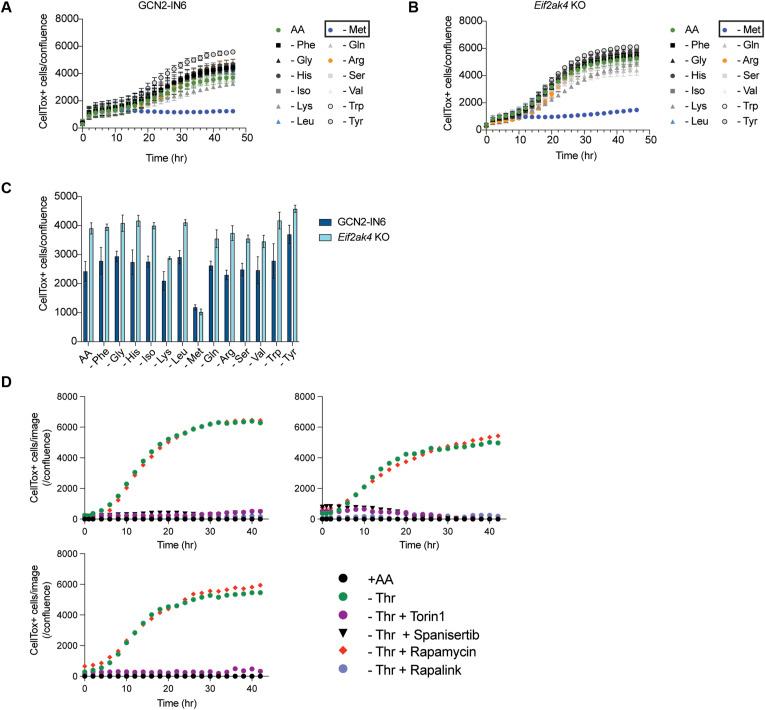 https://cdn.ncbi.nlm.nih.gov/pmc/blobs/e6a8/12413550/36c3e07aa290/LSA-2025-03324_FigS6.jpg