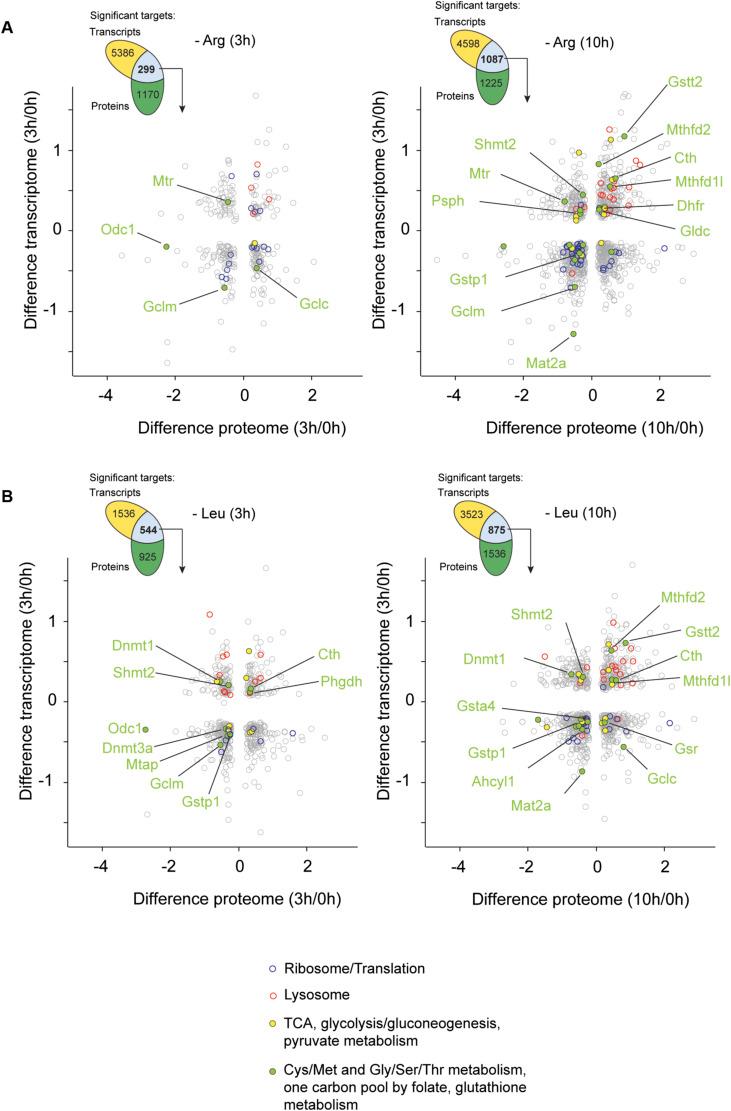 https://cdn.ncbi.nlm.nih.gov/pmc/blobs/e6a8/12413550/45bf885743e0/LSA-2025-03324_FigS3.jpg