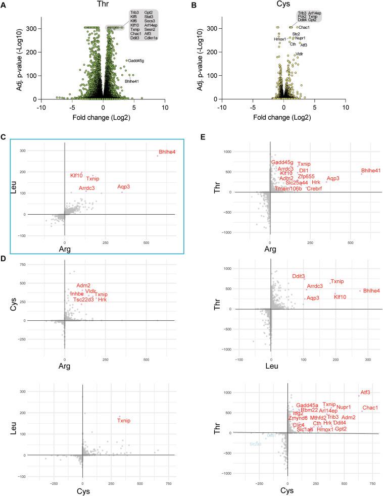https://cdn.ncbi.nlm.nih.gov/pmc/blobs/e6a8/12413550/55669f8d3b2b/LSA-2025-03324_FigS5.jpg